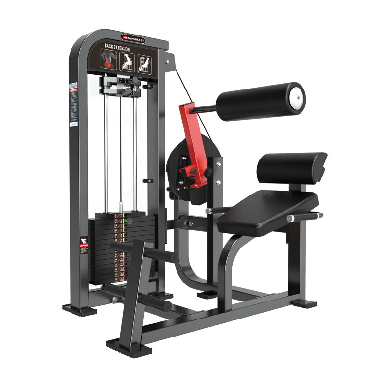 Alpha Series - Back Extension