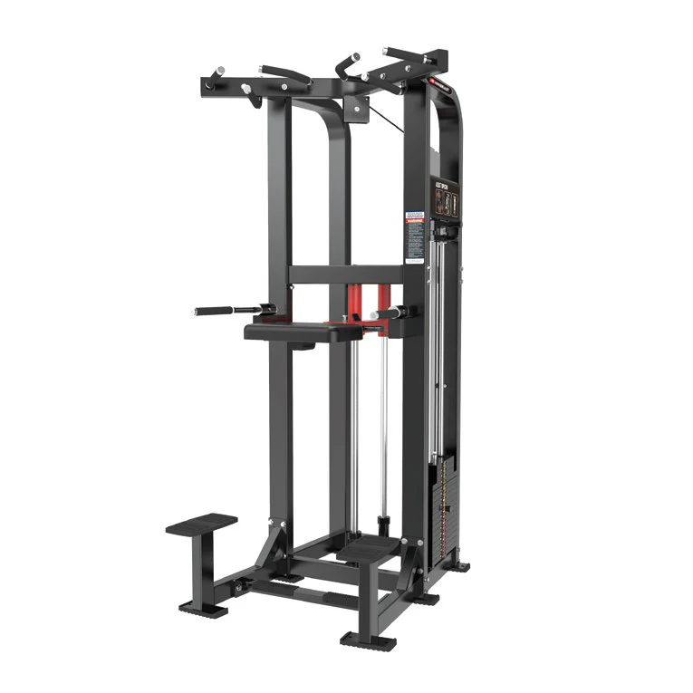 Alpha Series - Dip Assist
