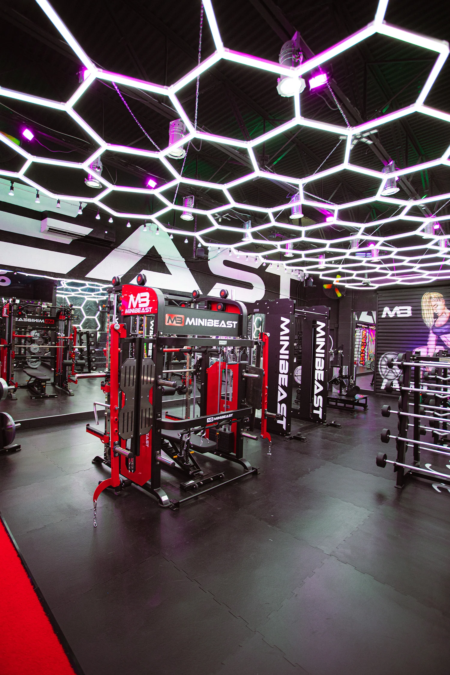 MB Ultimate ALL-IN-1 Total Home Gym - Image 11